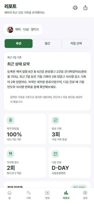 리포트 화면
